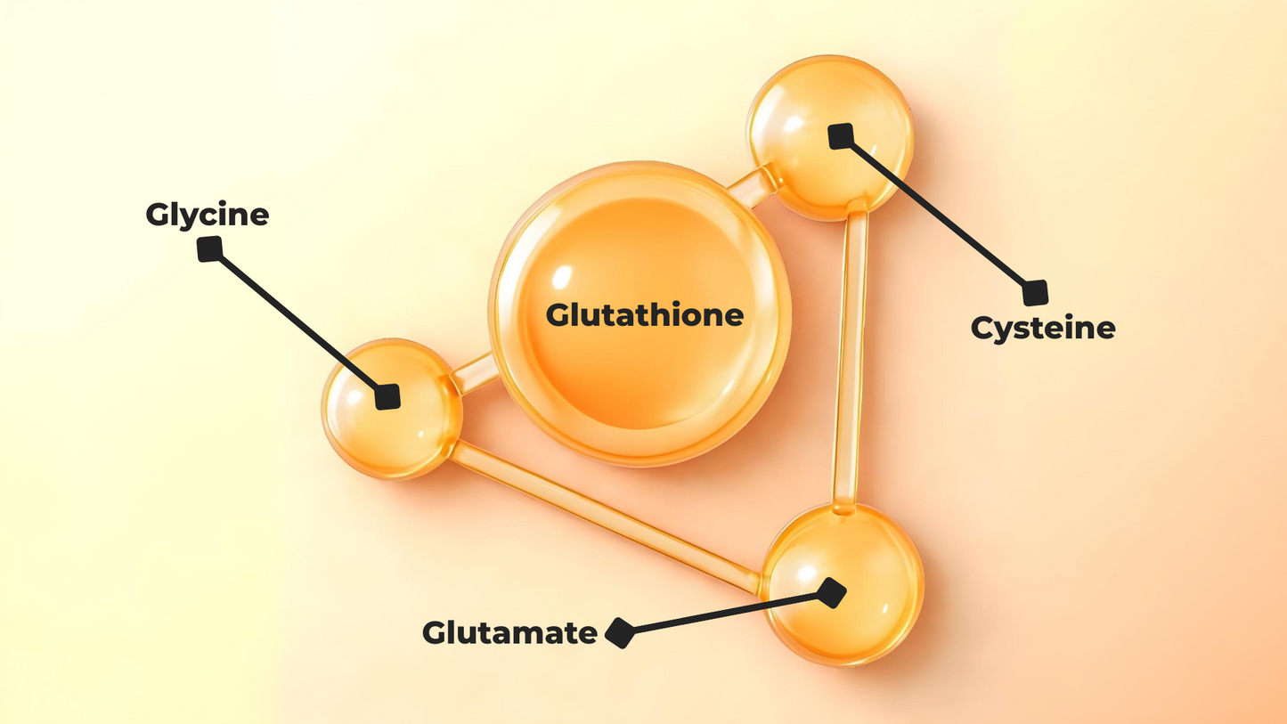 [BB Lab] Glutachione C 30 Sticks x 2