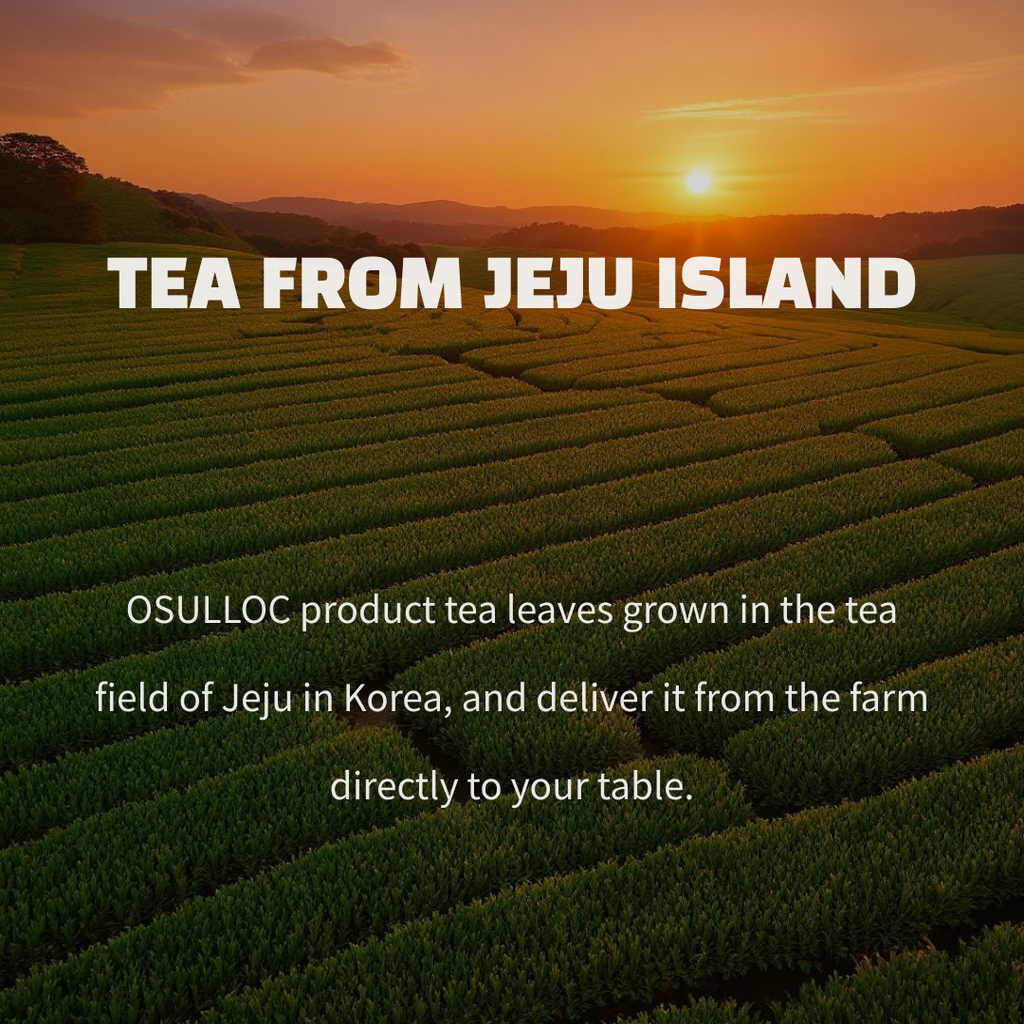 [Osulloc] Matcha Powder Stick 2 Boxes