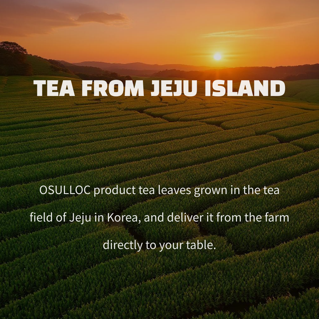 [Osulloc] Matcha Powder Stick 2 Boxes