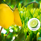 [Our Tea] Lemon Earl Gray TEA-8 Pack